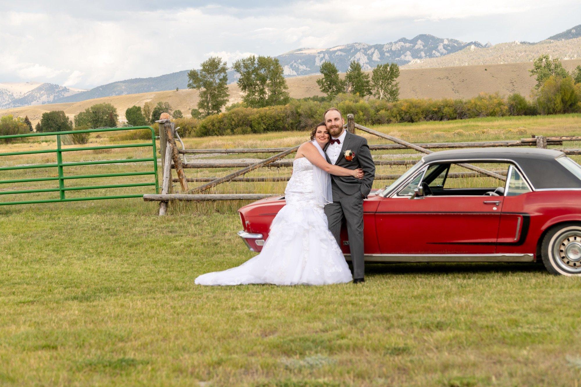 carousel-hero-element image-2