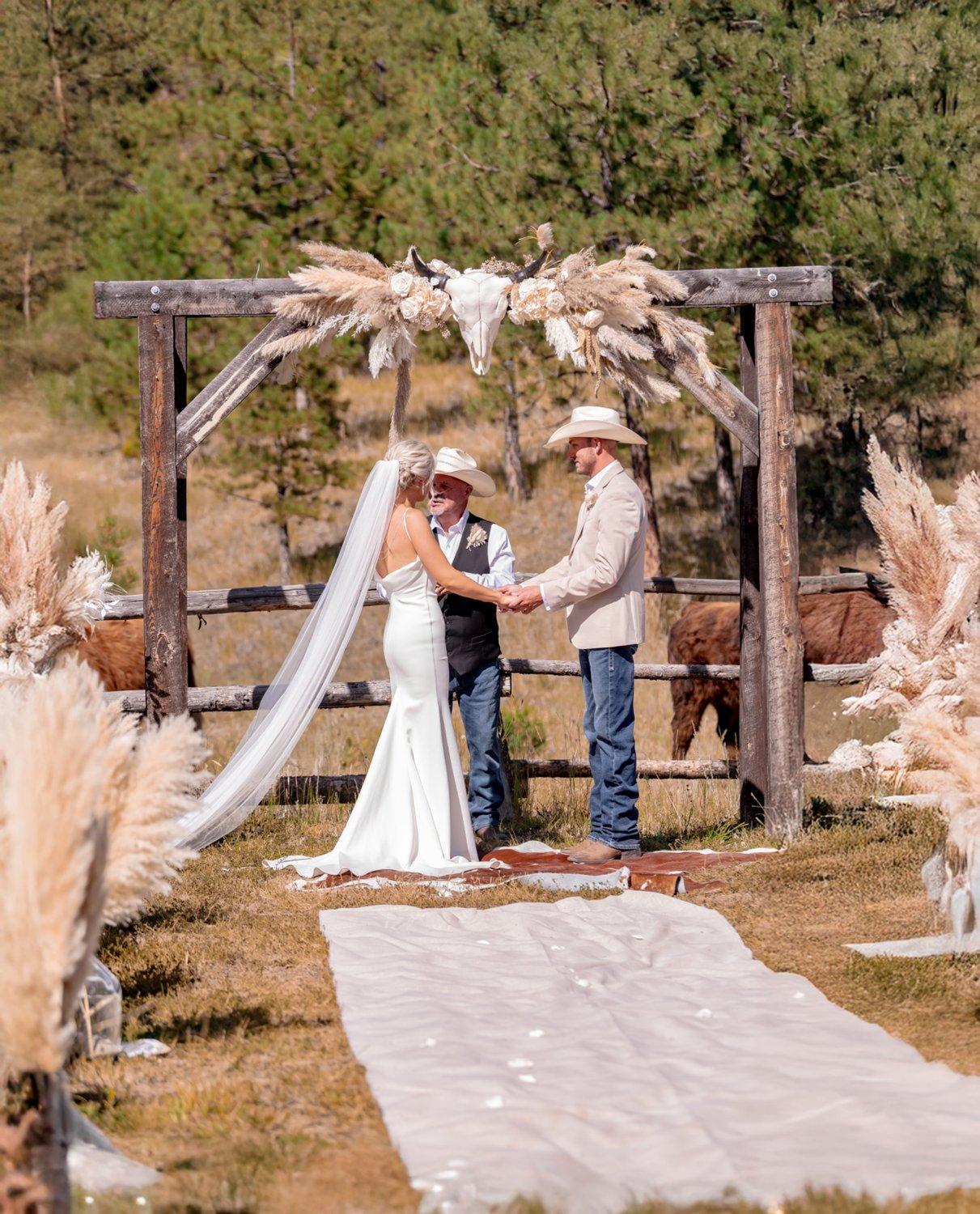 carousel-hero-element image-2